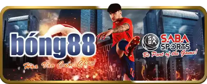 Người đang xem trận đấu bóng đá và cá cược